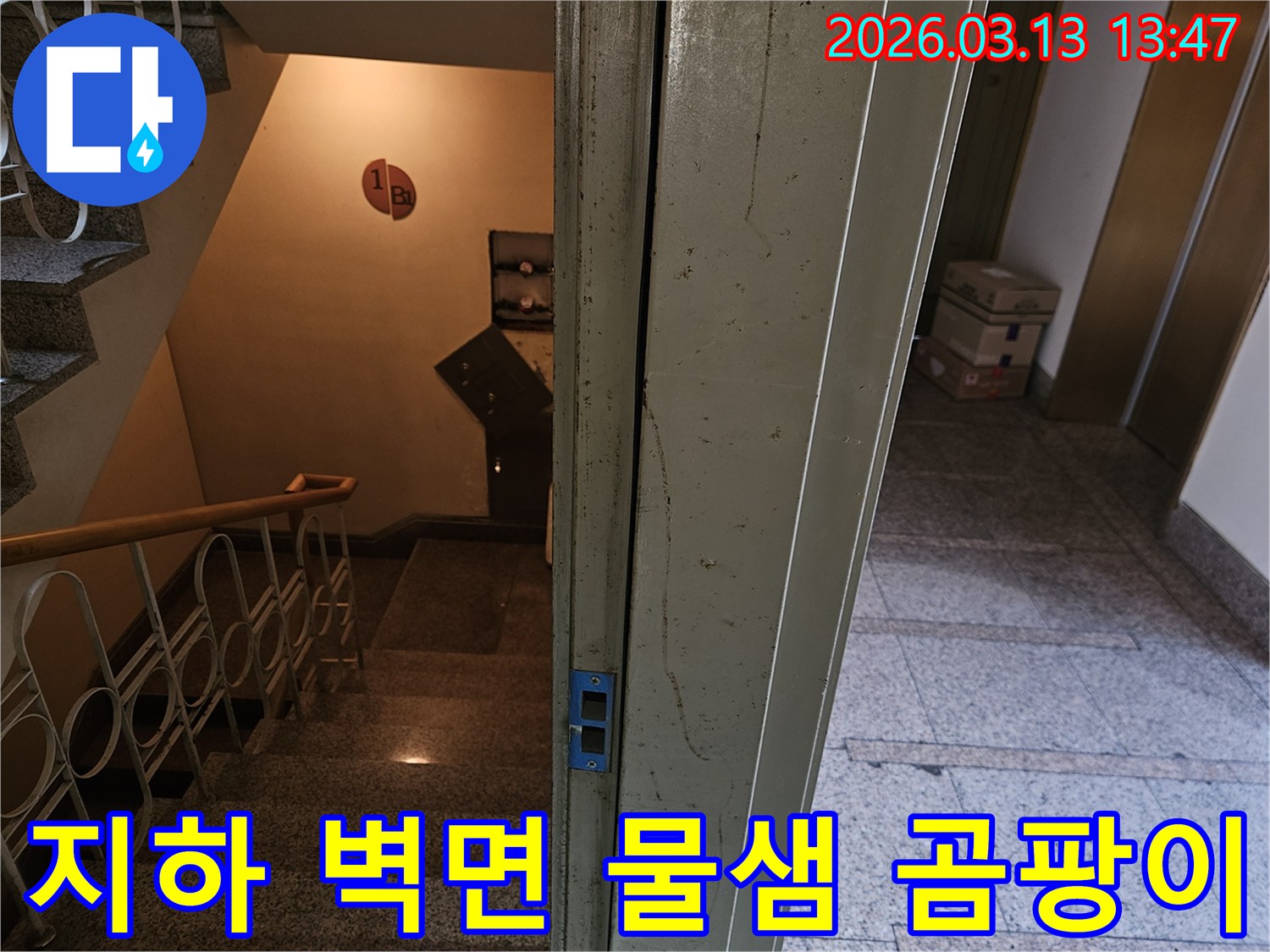 다세대주택-지하-계단-벽면에서-관찰되는-물샘-현상과-곰팡이-흔적을-정밀하게-진단하는-사진