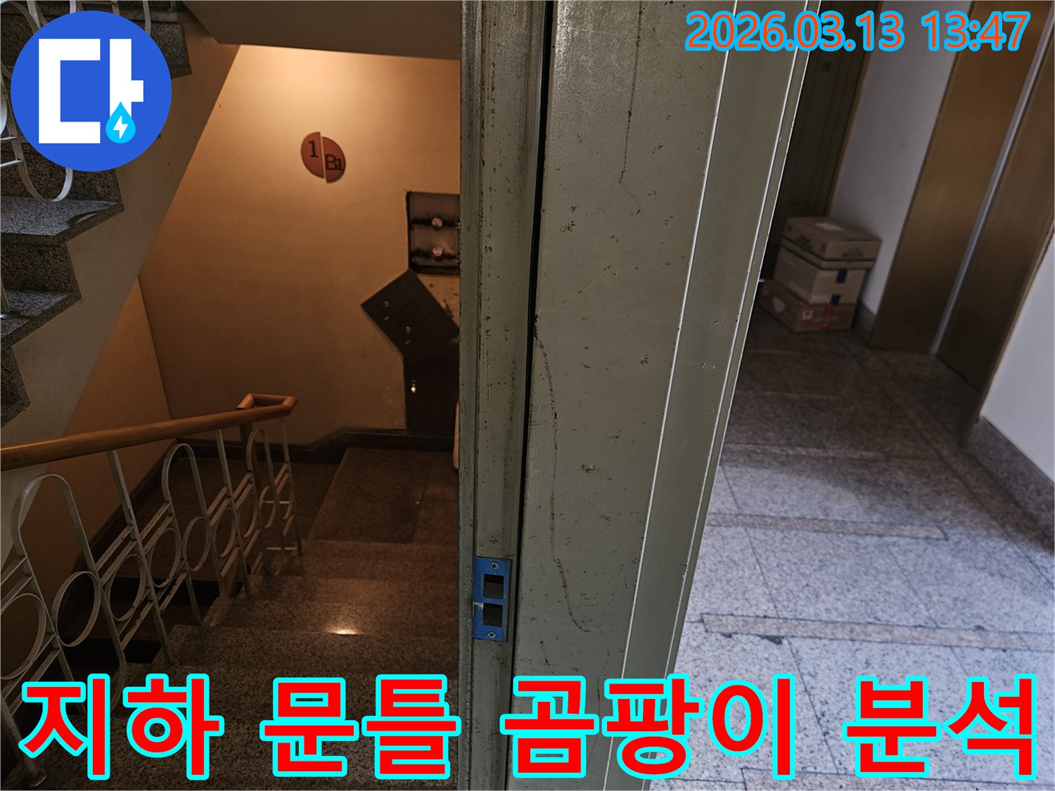 사무실-건물-지하-계단-문틀-주변에-발견된-오염과-곰팡이-흔적을-자세히-분석하는-사진