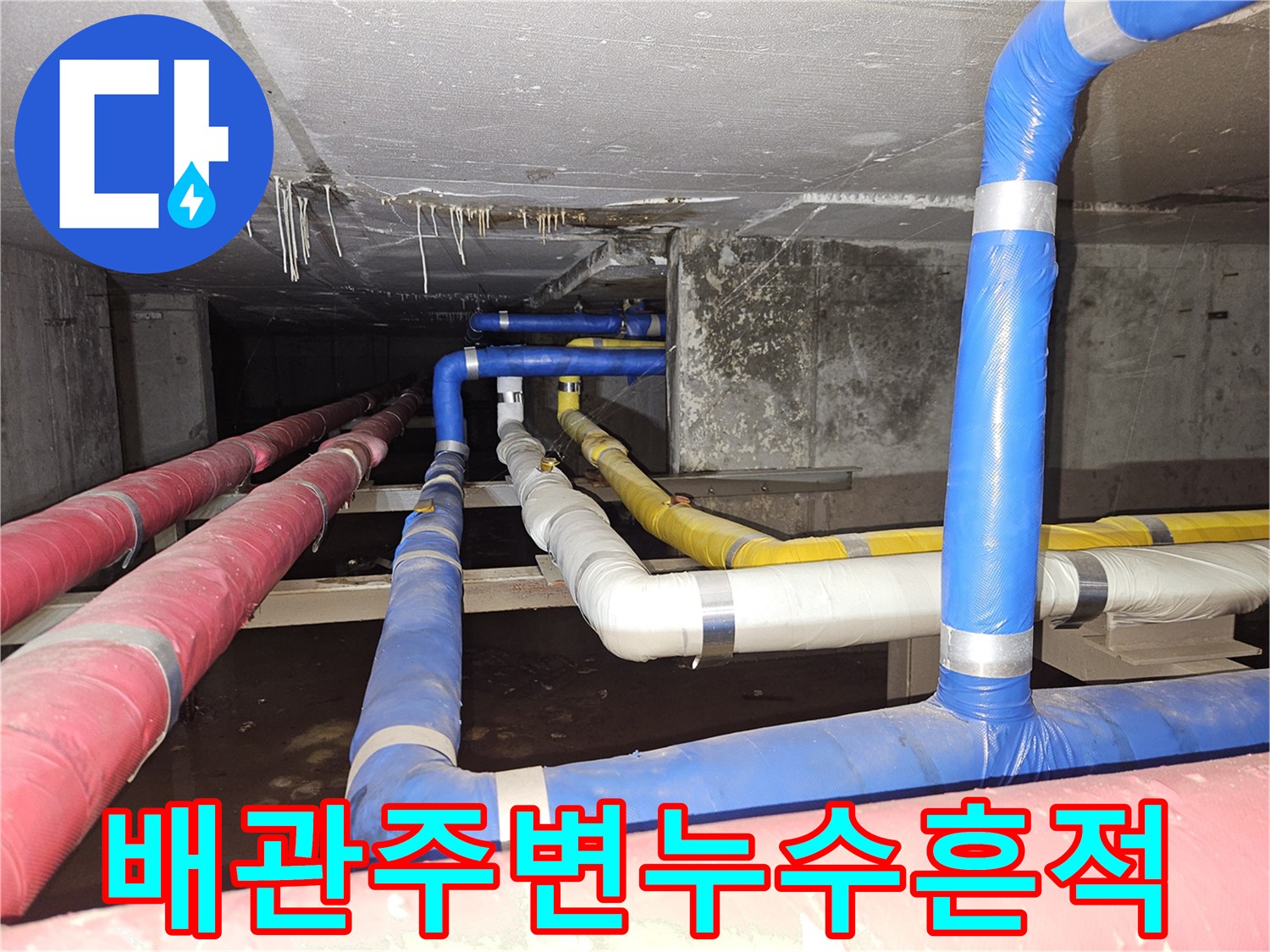 습기가 발견된 지하층 배관 - 빌라 공용부 누수 점검 현장