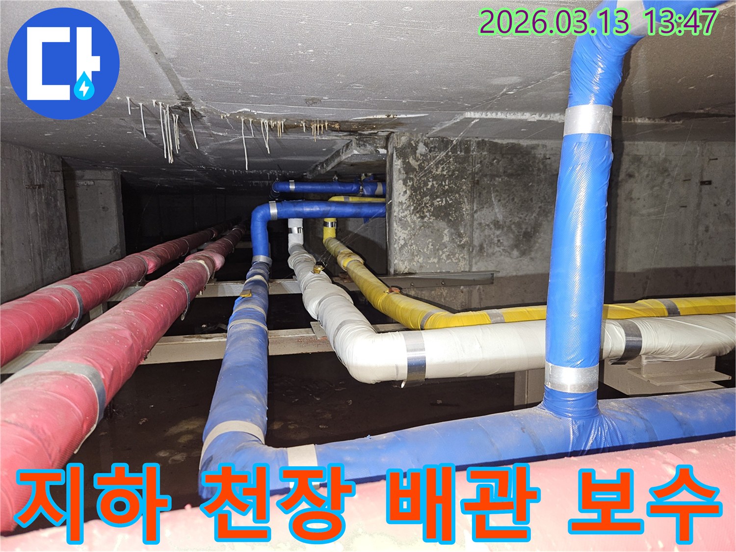 지하-공간의-천장-배관에서-발생한-누수를-정확히-진단하고-보수하기-위해-현장을-살펴보는-모습