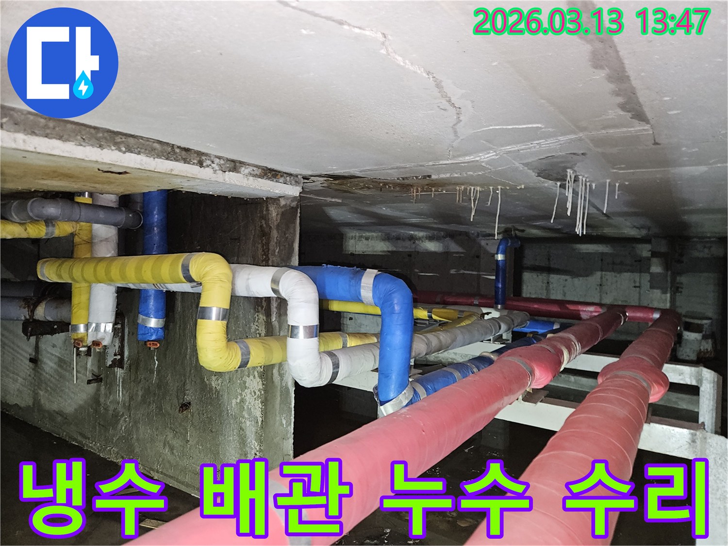 지하 천장의-파란색 냉수 배관에서-누수가 발생하여-물이 떨어지는-현장 사진