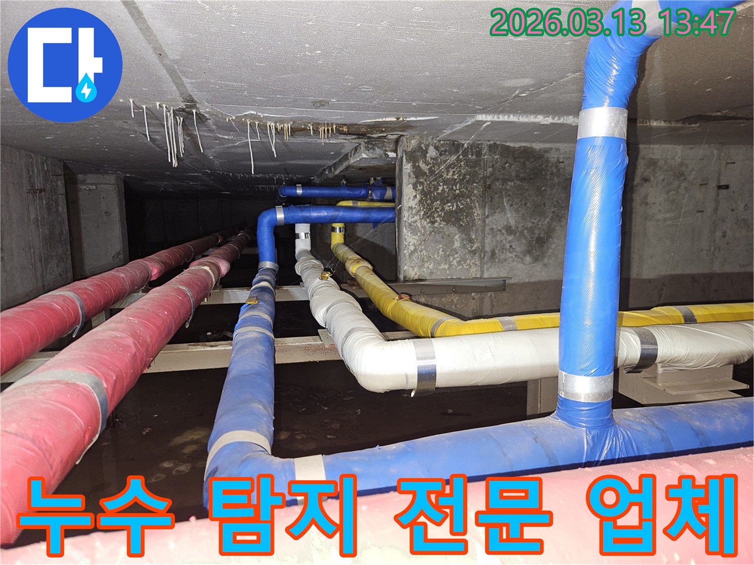 천장-아래-복잡하게-연결된-배관들에서-발생한-누수를-전문적으로-탐지하는-숙련된-엔지니어의-모습