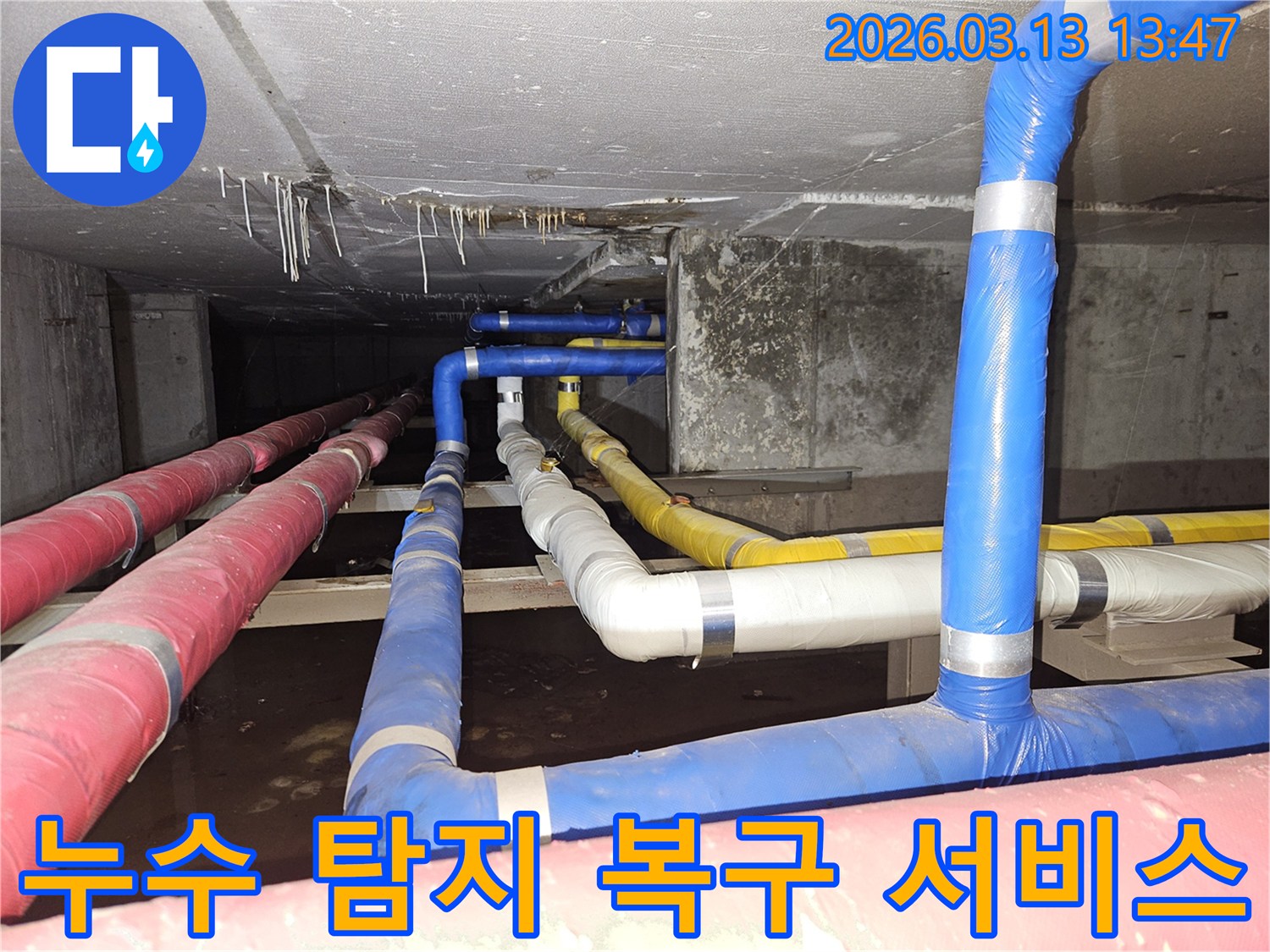천장-아래-복잡한-배관들에서-발생한-누수를-탐지하고-완벽하게-복구하는-전문가의-모습