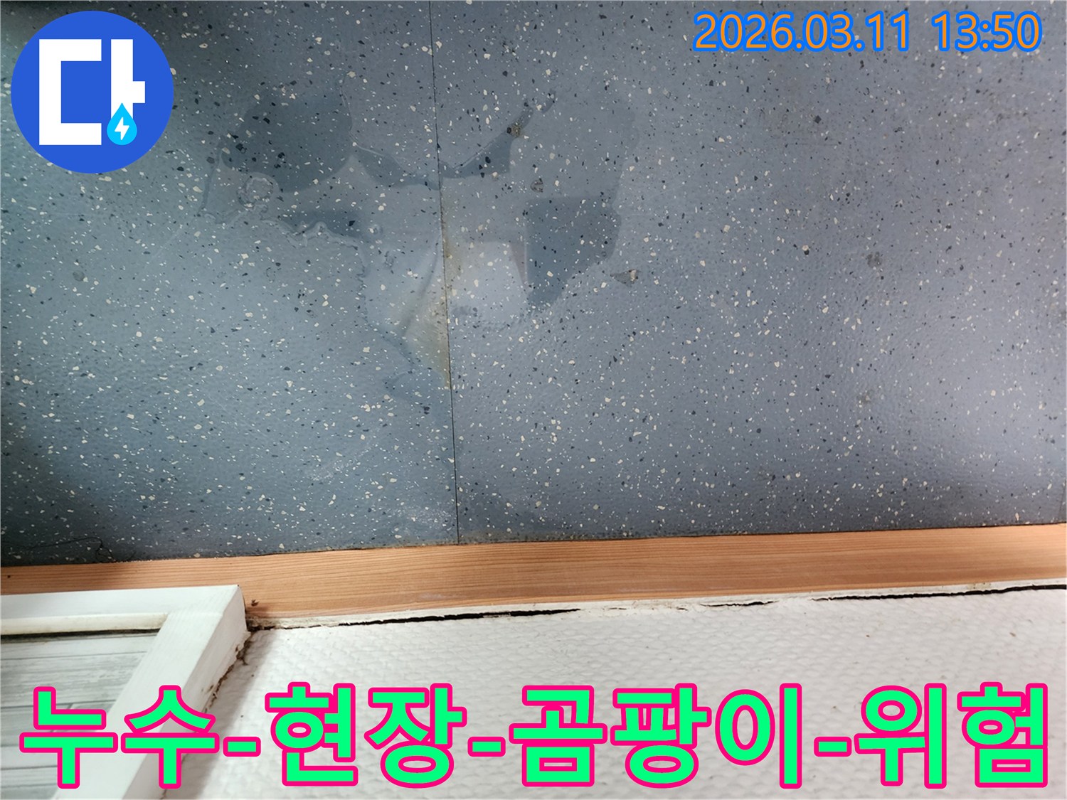 벽면-아래-바닥에-물이-고여-있고-벽면에-곰팡이가-생길-위험이-있는-누수-발생-현장-이미지