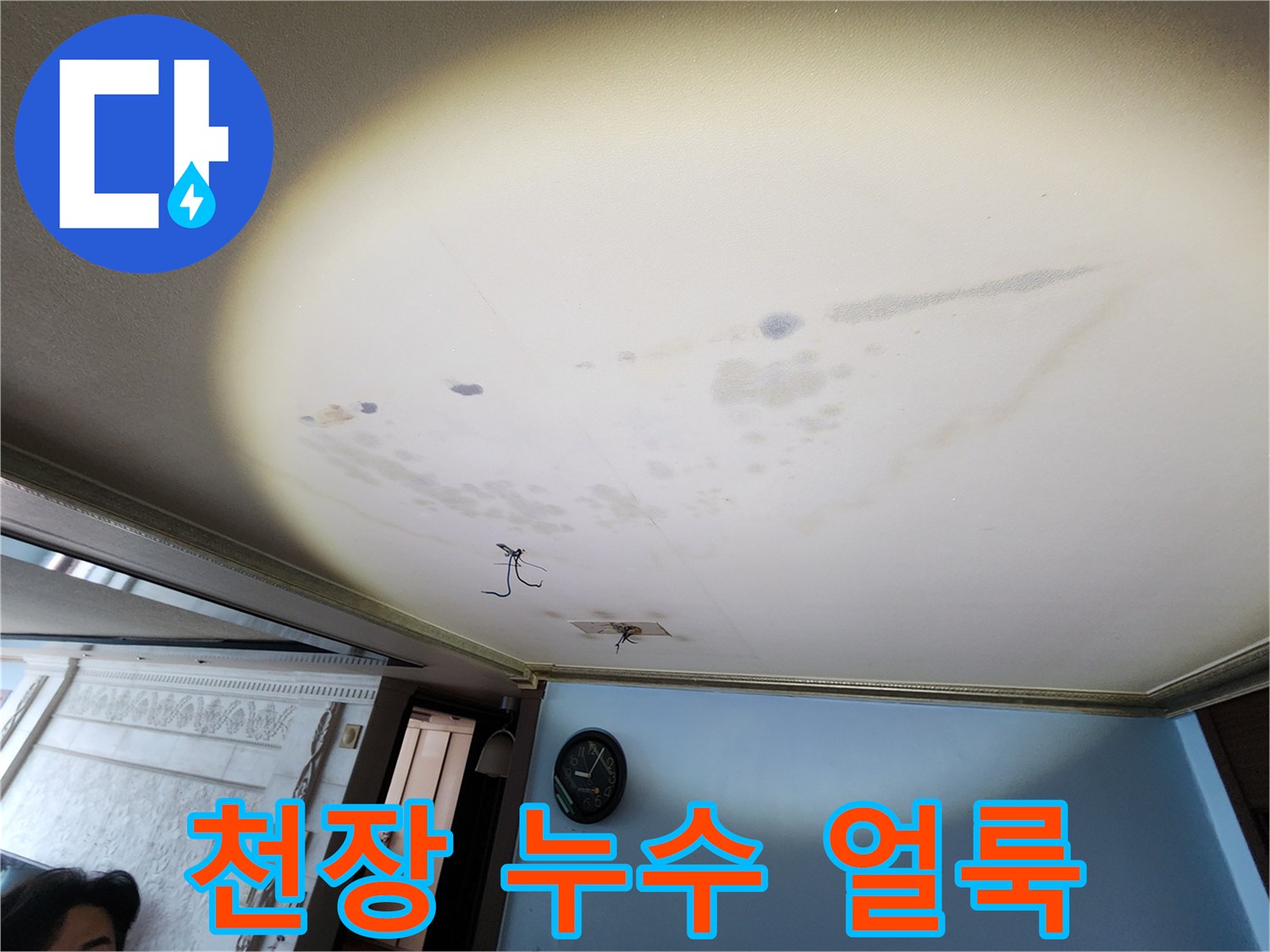 아랫집 천장의 넓은 습기 변색 부위와 물자국 흔적