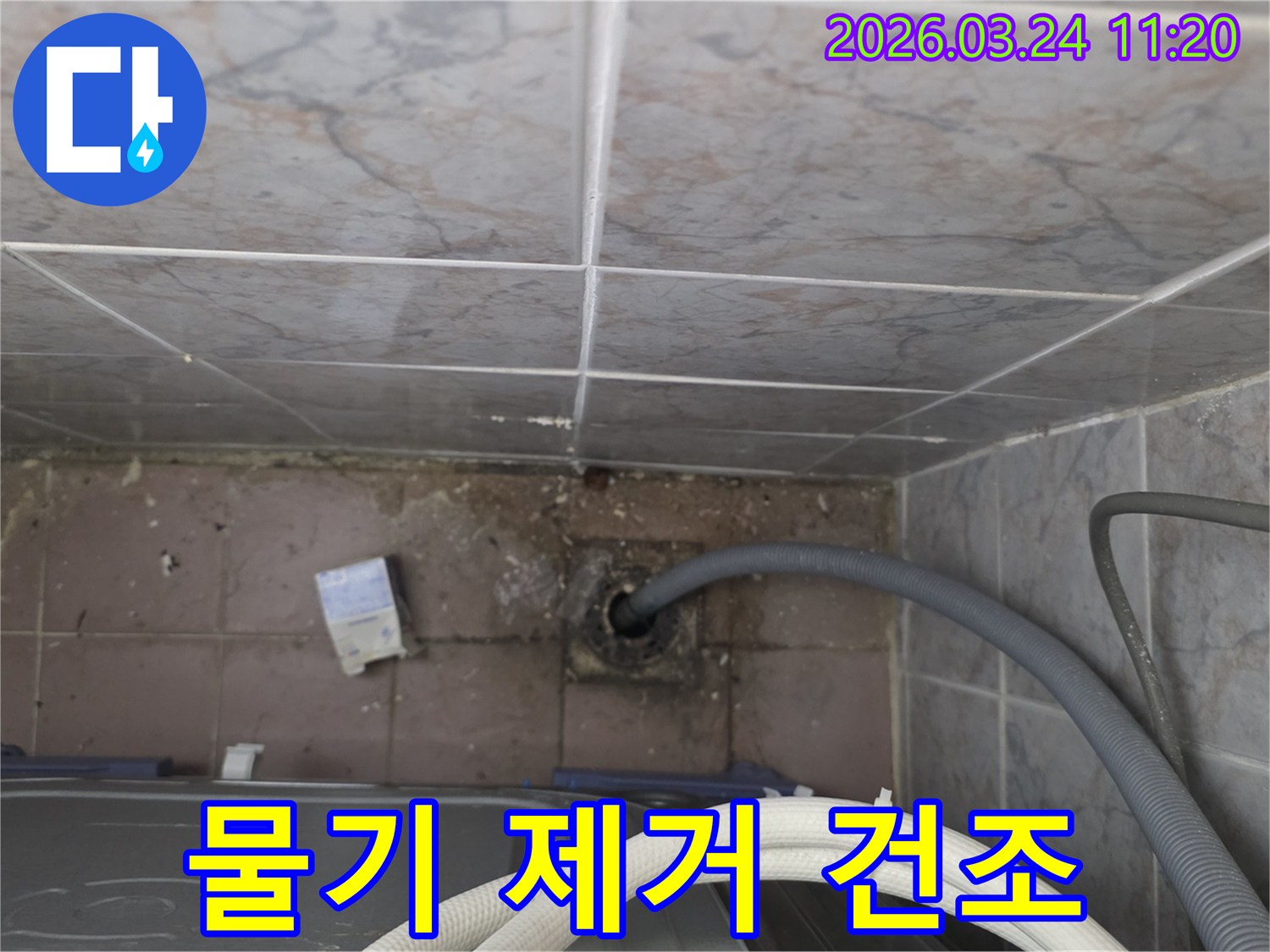 세탁실-바닥-배수구-주변에-고여있는-물기와-오염된-타일-틈새-물기-제거와-건조-필요
