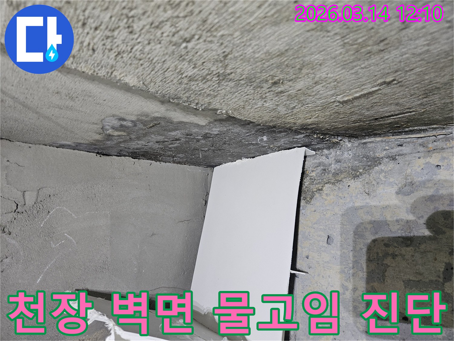 천장과-벽면의-접합부에서-발견된-물고임-현상을-정밀하게-진단하는-누수-현장