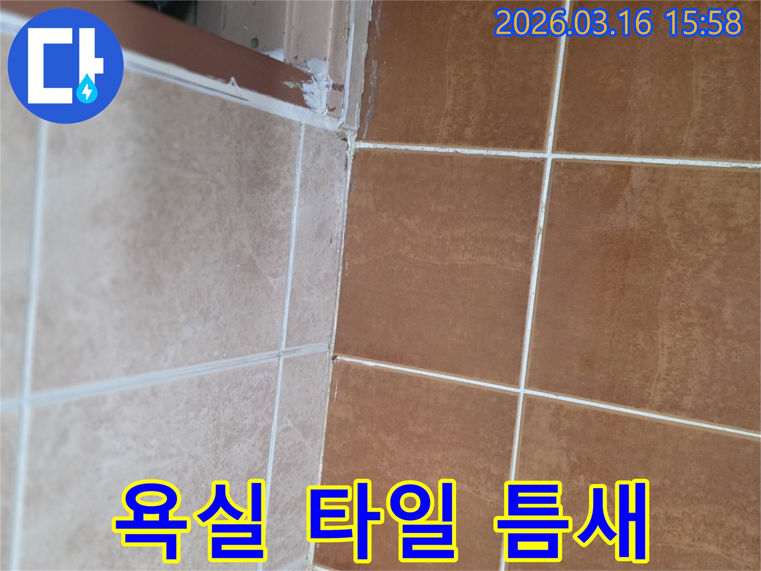 욕실 바닥 타일과 벽 타일의 경계면-그리고 샤워부스 하단부의 손상된 실리콘을 보여주는 이미지입니다.