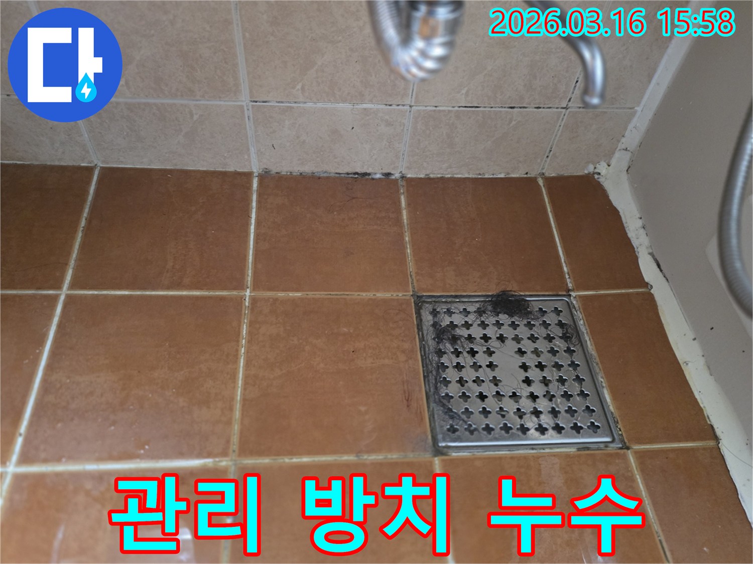 욕실 바닥의-머리카락이 쌓인 배수구-오염된 줄눈-벽면 하단의 곰팡이가-정기적인 관리 소홀로 인한-누수 발생의-결과와 예방의-중요성을 보여줍니다