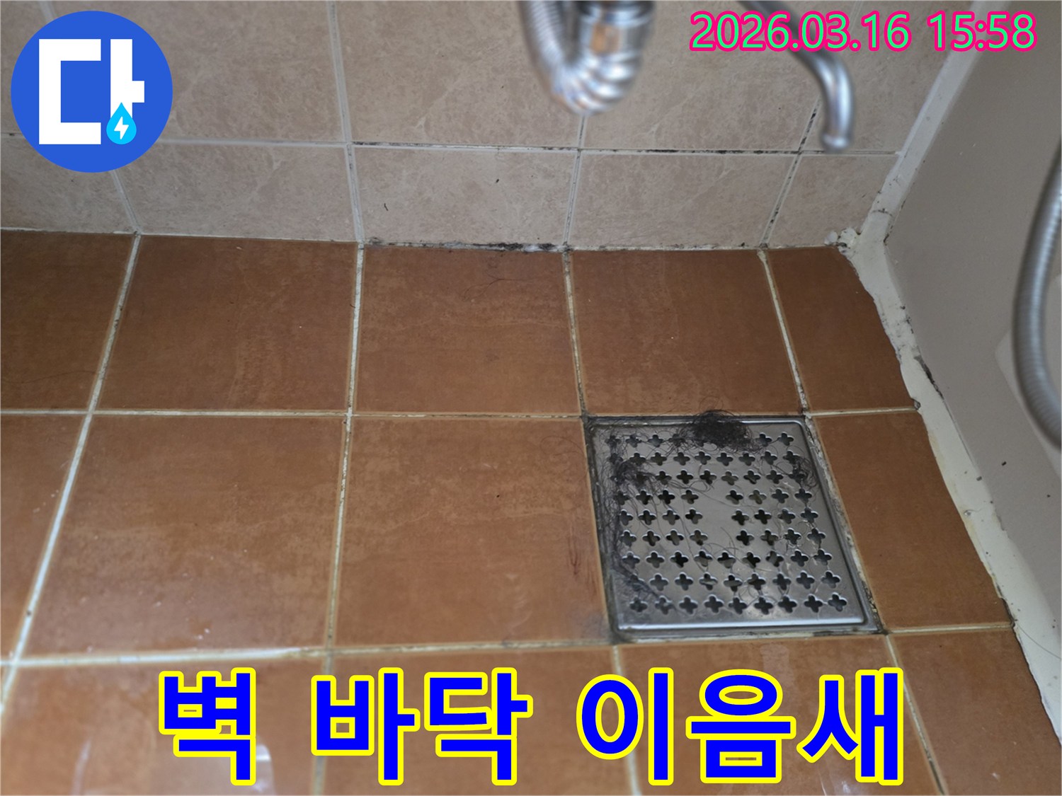 욕실 벽면과-바닥 타일의-이음새 부분에-생긴 검은 곰팡이와-오염이-누수 발생과-실리콘 보강의-필요성을 보여줍니다