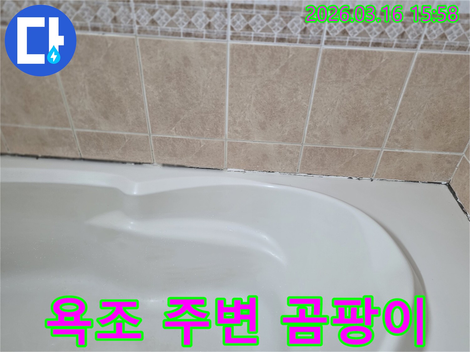 욕조와-타일-경계면에-발생한-검은-곰팡이는-지속적인-습기-침투와-누수-가능성을-시사하며-건강에도-해로울-수-있습니다.