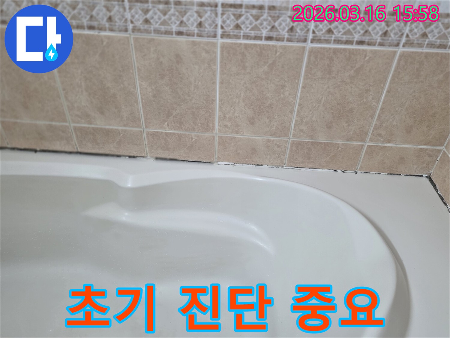 욕조와-타일-경계면의-작은-곰팡이는-더-큰-누수로-이어질-수-있으므로-초기-진단과-해결이-매우-중요합니다.