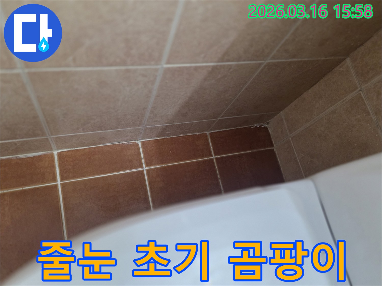 이 이미지는 욕실 바닥 줄눈에 나타난-초기 곰팡이 발생 현상을 보여주며, 이는-지속적인 습기 노출과 누수 위험을 시사합니다.