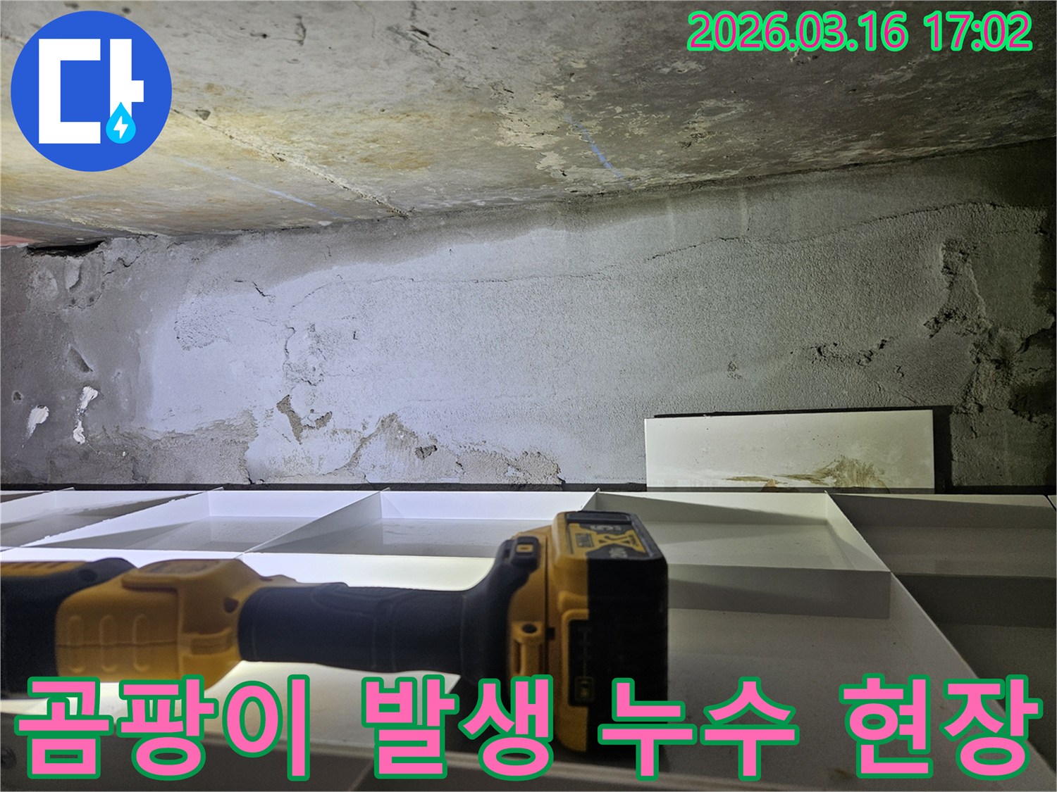 누수 엔지니어가-곰팡이가 발생한-누수 현장을-정밀하게 진단하는 모습