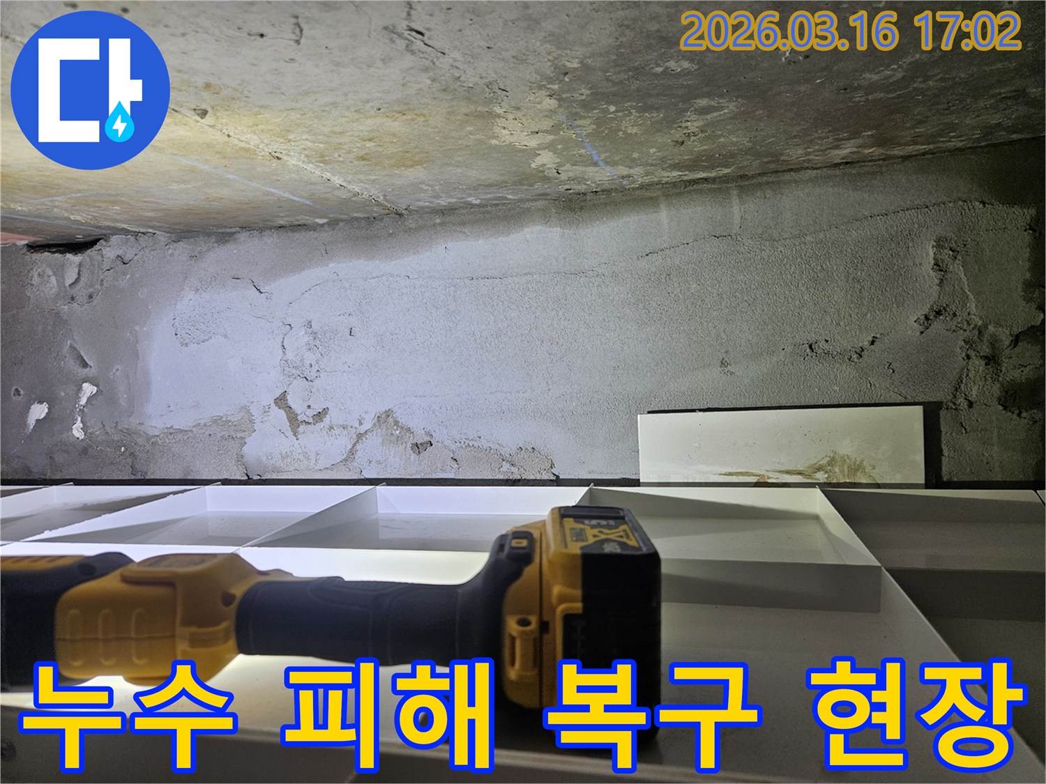 누수 엔지니어가-누수 피해로 손상된-공간을-정밀하게 진단하며-복구 계획을 세우는 모습