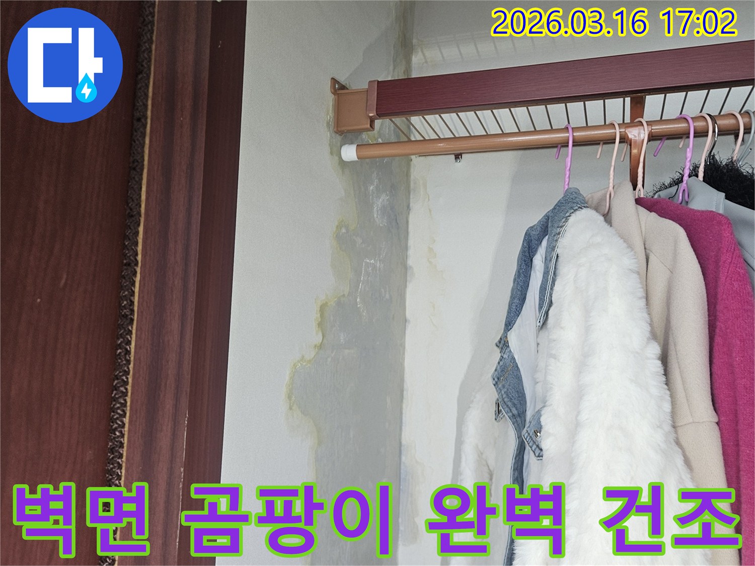 누수로 인해 옷장 벽면과 바닥에 물기가 스며들고-누런 얼룩과 곰팡이가 넓게 퍼져 있는 모습