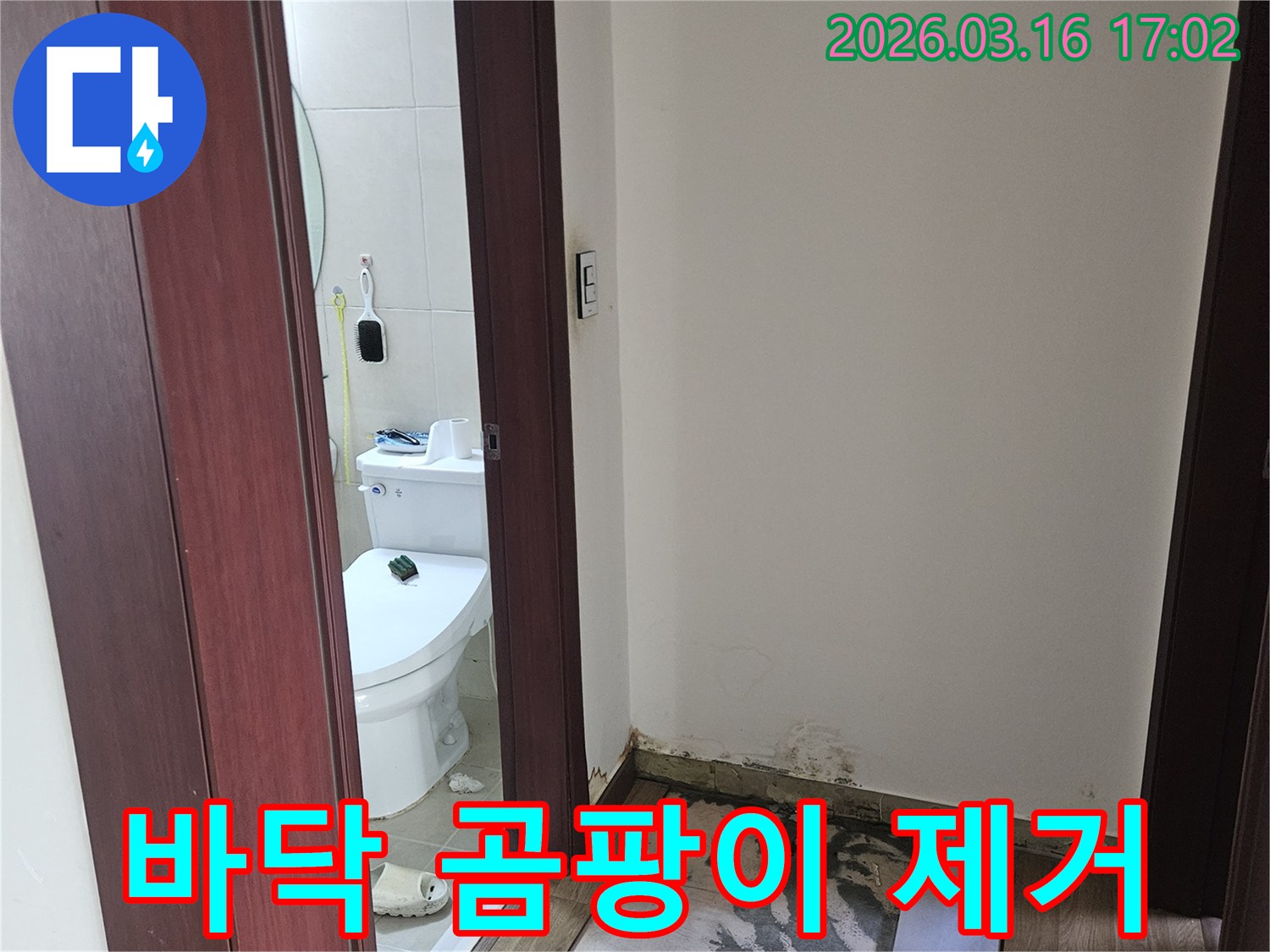누수로 인해 철거된-바닥재 아래에 발생한-곰팡이와 습기를-제거하는 현장 사진입니다