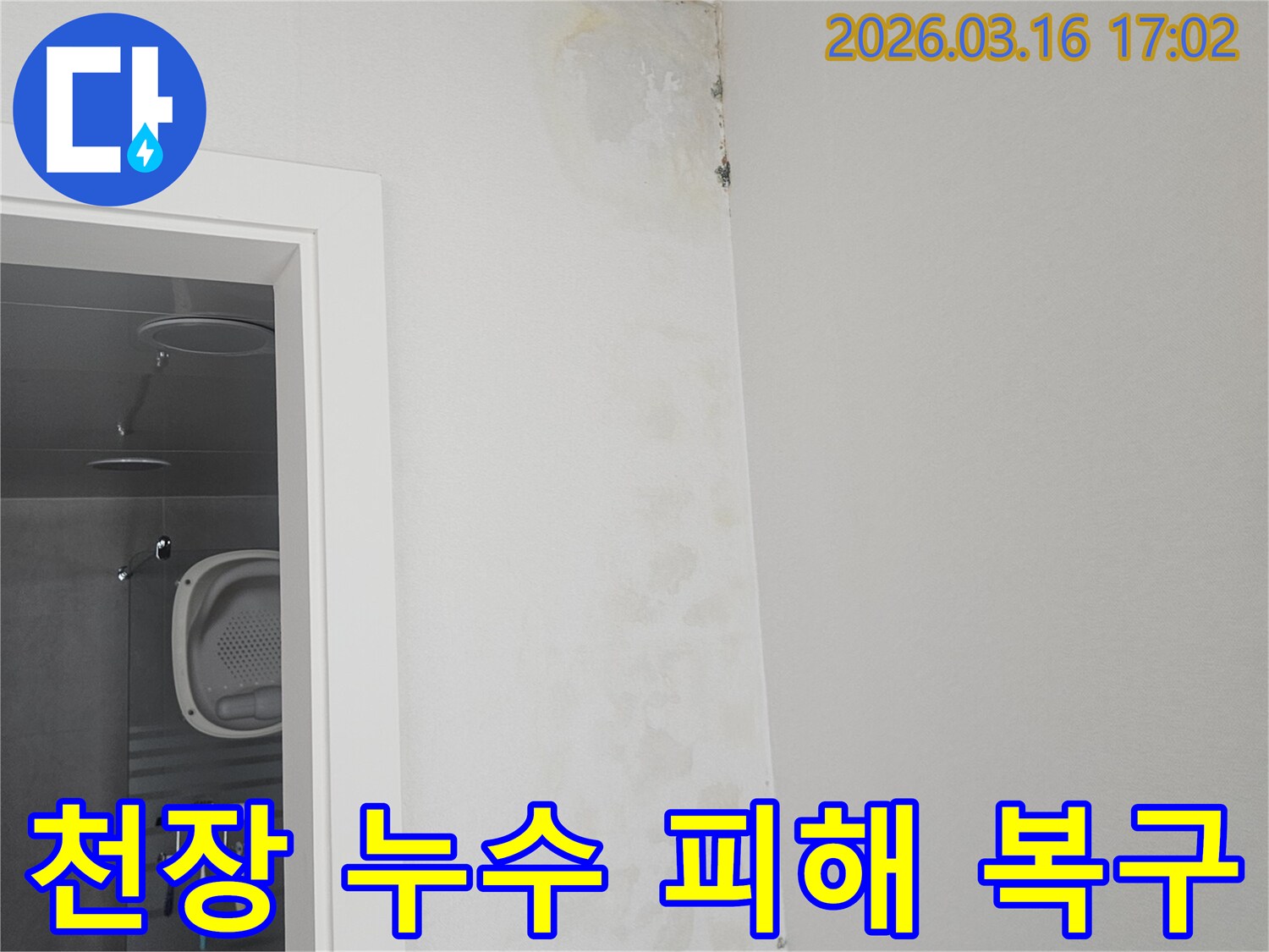 아랫집 욕실 천장에 윗집 누수로 인한 물자국과 곰팡이가 생긴 상황을 보여주는 사진입니다