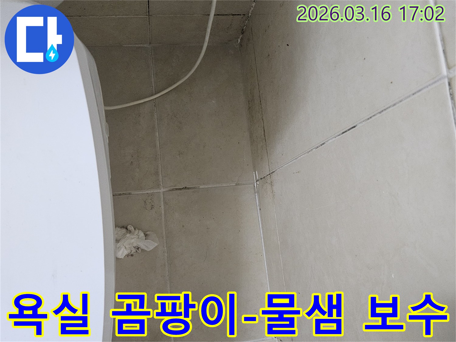아파트 욕실 천장과 벽면 타일에 검은 곰팡이와 함께 물이 새어 나온 흔적이 보이는 누수 현장입니다-이는 장기간 지속된 습기로 인한 피해를 나타냅니다
