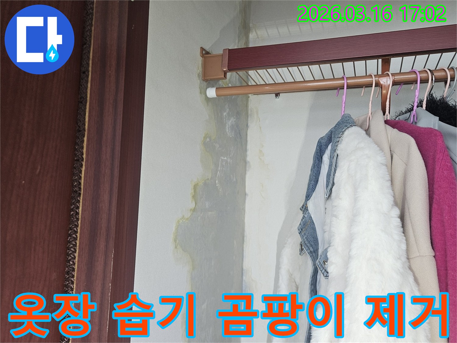 옷장 내부 벽면과 바닥에 누수로 인해 물기가 스며들고-누런 얼룩과 곰팡이가 발생한 현장