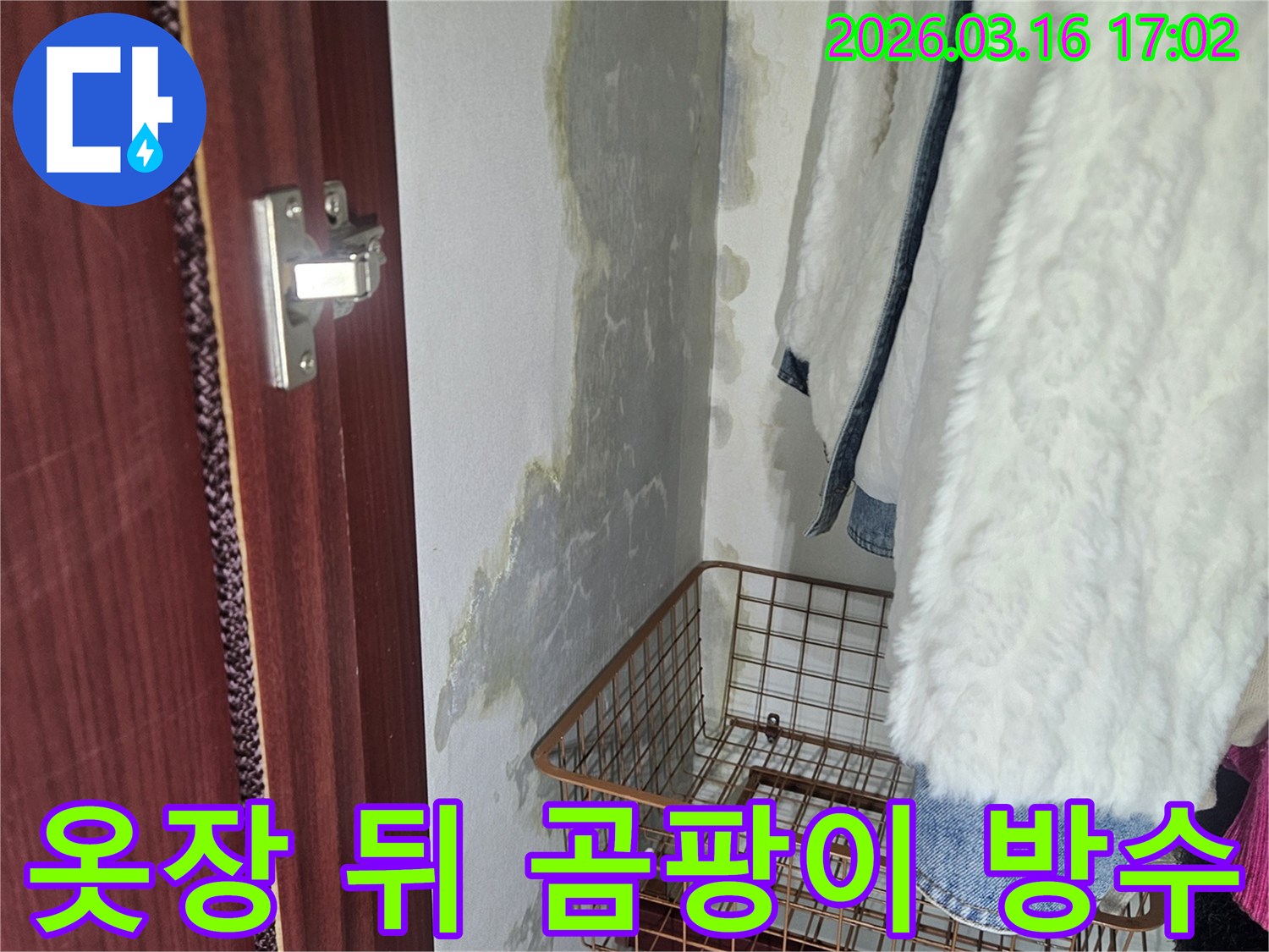 옷장 뒤편- 벽면에 생긴- 곰팡이와- 물이 스며든- 흔적들