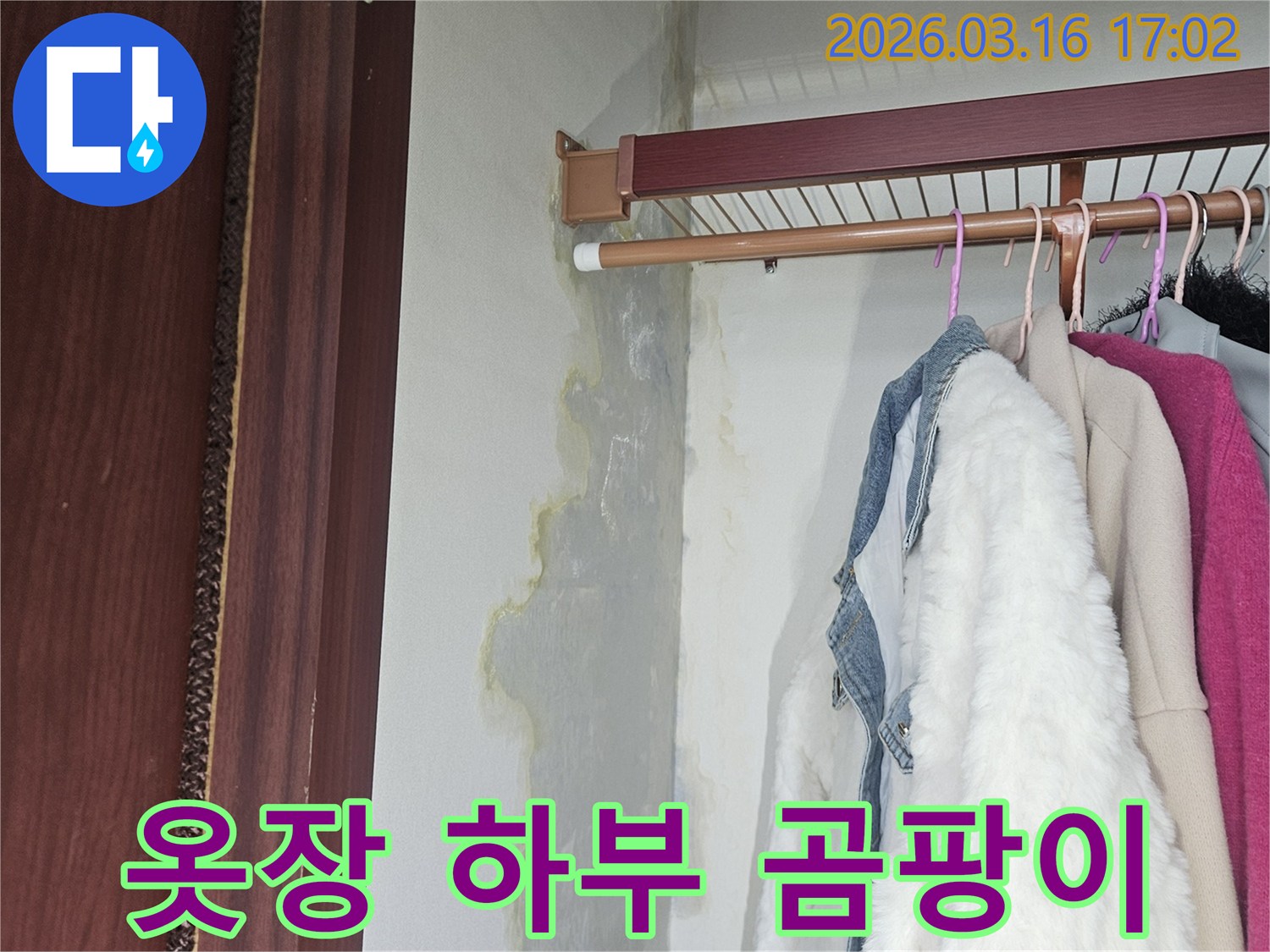 옷장 하부 벽면과 바닥에 누수로 인해 물이 스며들고-누렇게 변색된 곰팡이가 넓게 퍼져 있는 모습