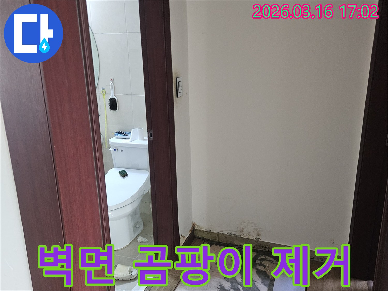 욕실 벽면에 누수로 인해-광범위하게 번식한-곰팡이를 제거하기 전-심각한 오염 상태를 보여주는 사진입니다