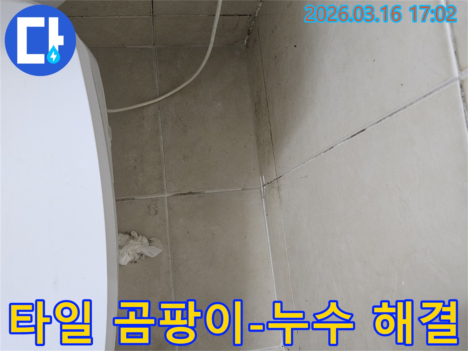 천장과 벽면 타일 사이의 줄눈에 검은 곰팡이가 심하게 번져있는 모습입니다-이는 타일 틈새로 물이 스며들어 발생한 누수 현상으로 보입니다