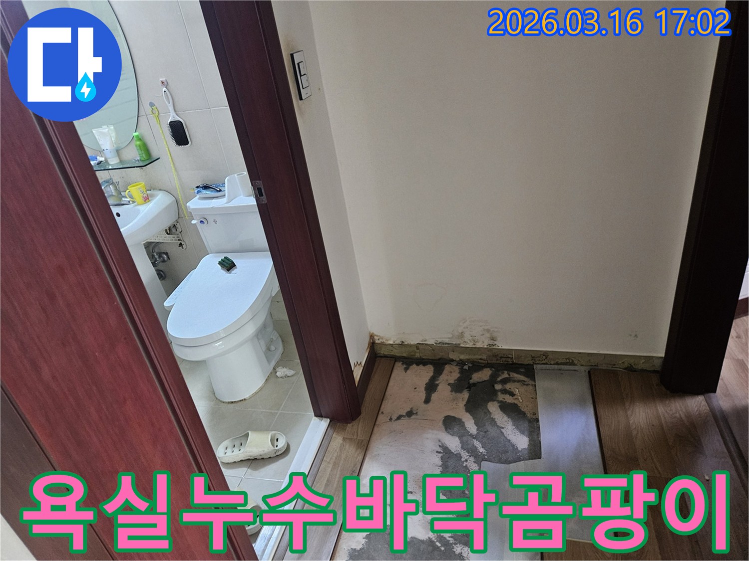 화성-병점구-아파트-욕실-누수로-인해-바닥-마루가-손상되고-벽면에-곰팡이가-번진-피해-현장-사진