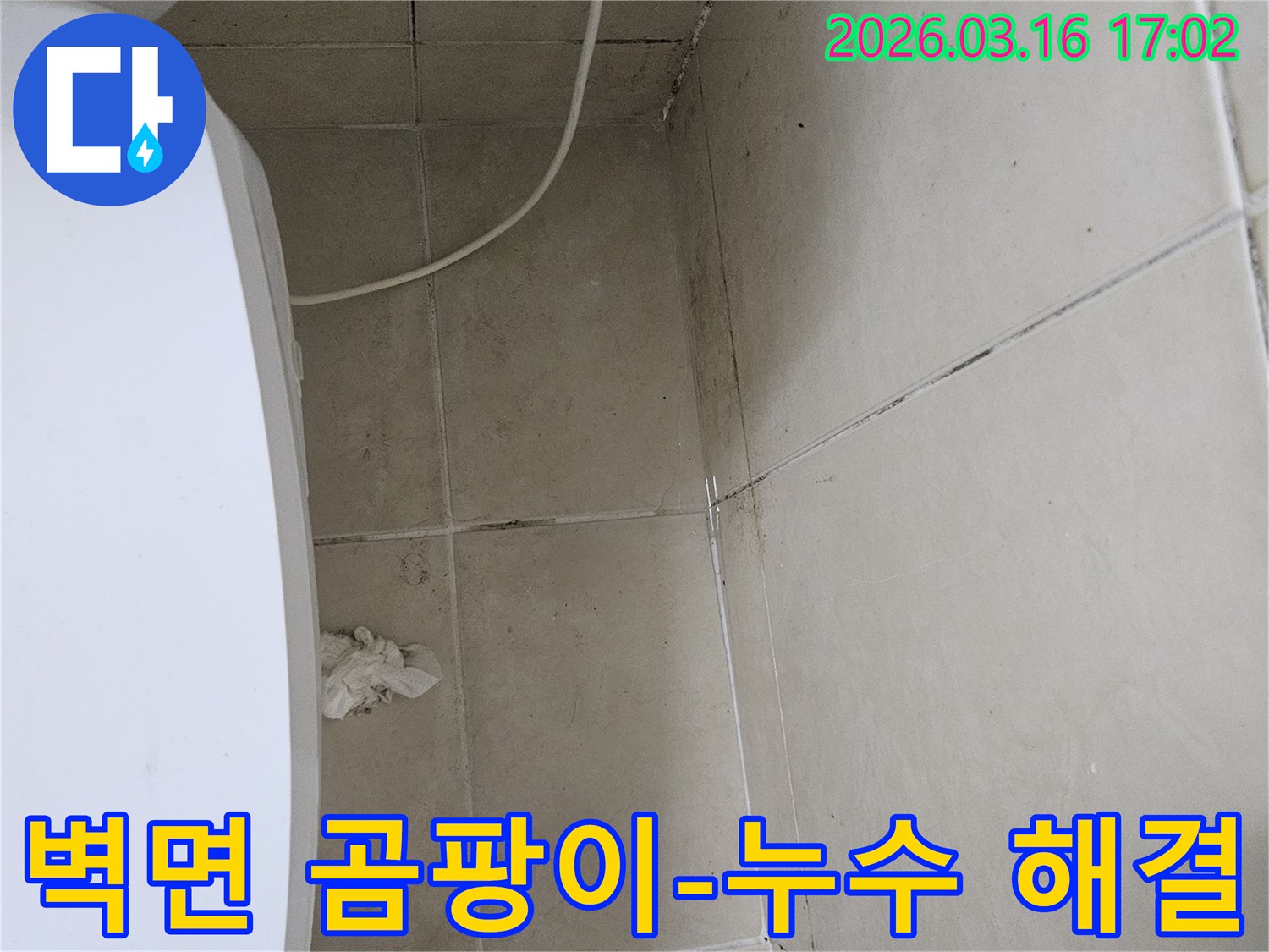 화장실 벽면 타일과 천장 모서리에 검은 곰팡이가 심하게 번져있는 모습입니다-이는 누수로 인한 습기 축적의 결과입니다
