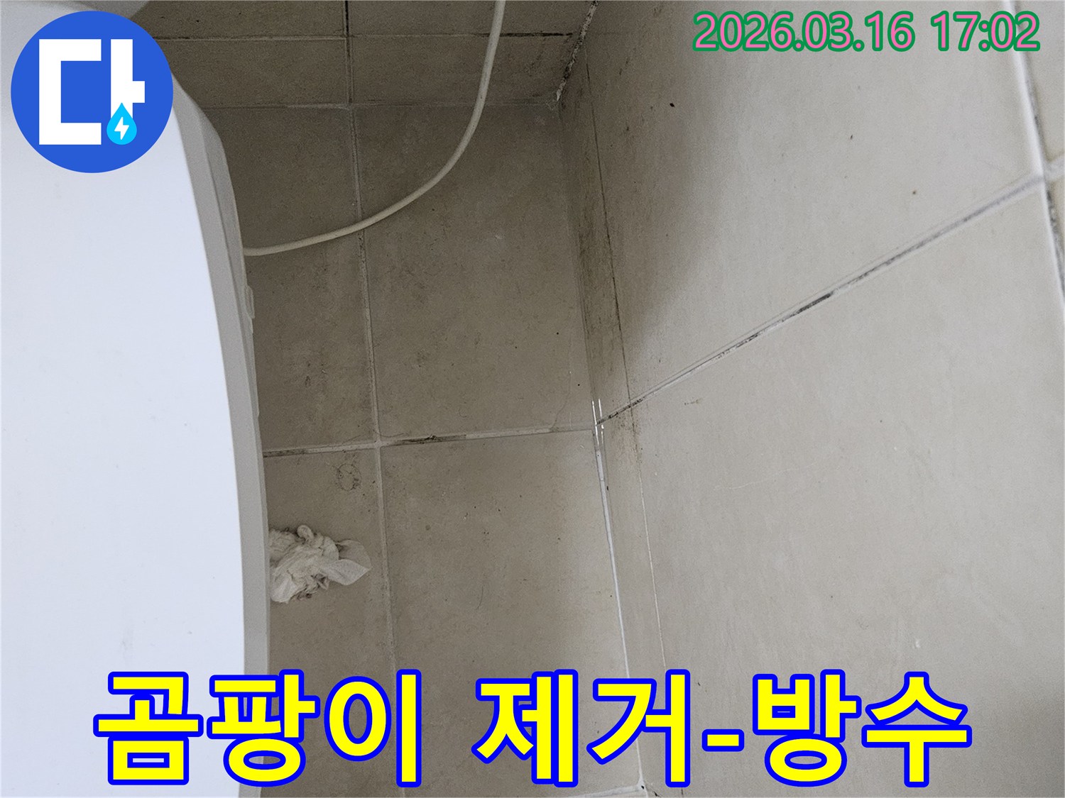 화장실 천장과 벽면 타일에 검은 곰팡이가 넓게 퍼져있으며-이는 누수로 인한 습기 축적의 명확한 증거입니다