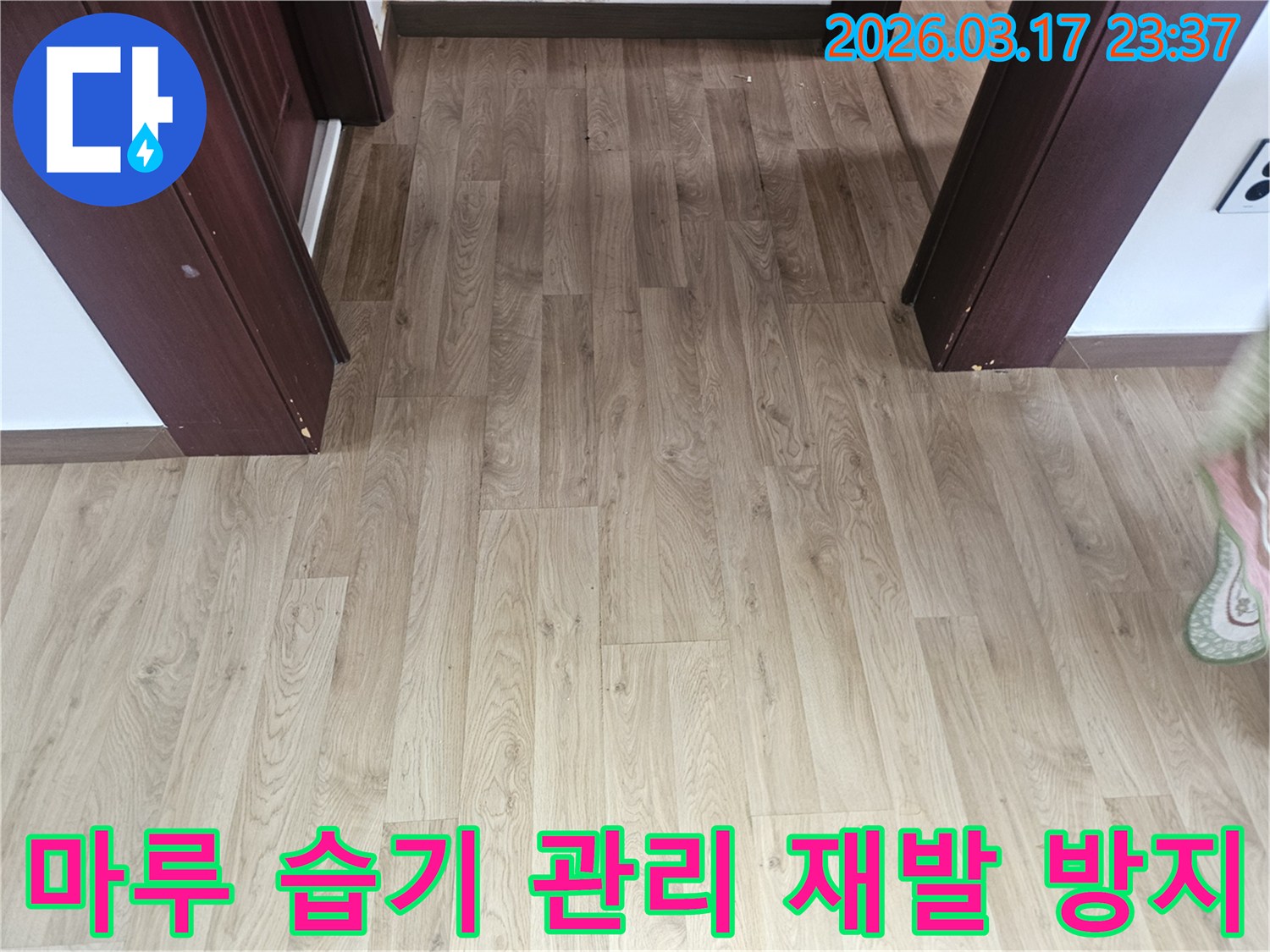 누수 발생 후-바닥 마루의 습기를 관리하고-장기적인 유지보수를 위한-점검 과정을 보여주는 사진입니다.