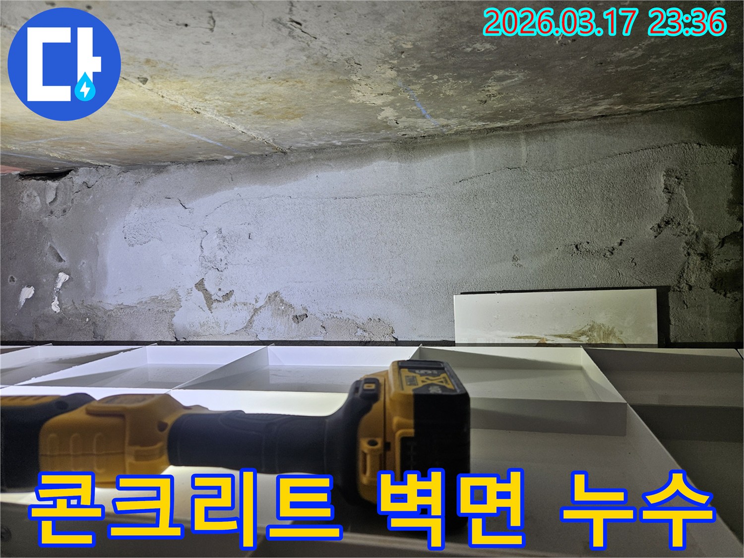 누수 엔지니어가-콘크리트 벽면의 물 자국과-손상 부위를 면밀히 검토하고 있습니다.