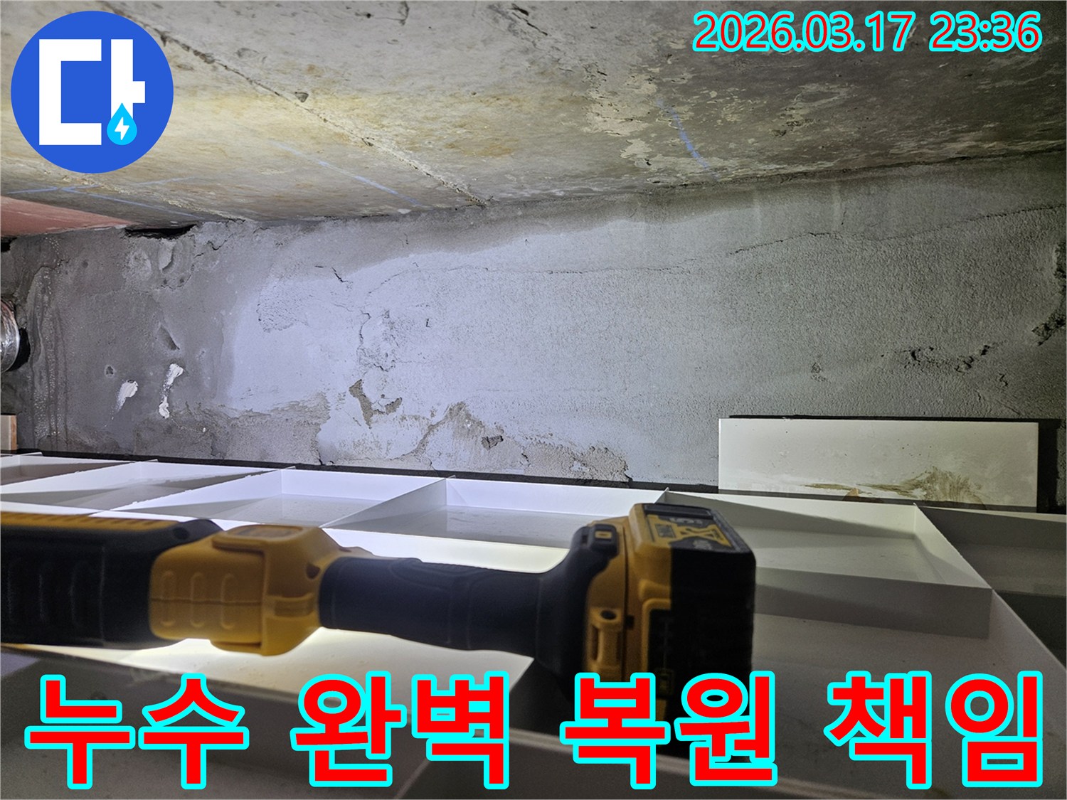 누수 전문 엔지니어가-천장 누수 발생 후-완벽한 복원을 위한-정밀 진단을 진행하고 있습니다.