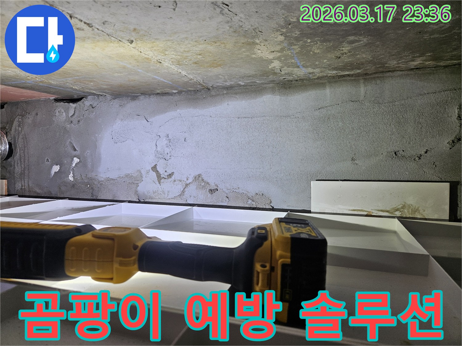 누수 전문 엔지니어가-천장 누수로 인한-곰팡이 발생을 예방하고-쾌적한 환경을 만들기 위해-정밀 진단을 진행하고 있습니다.