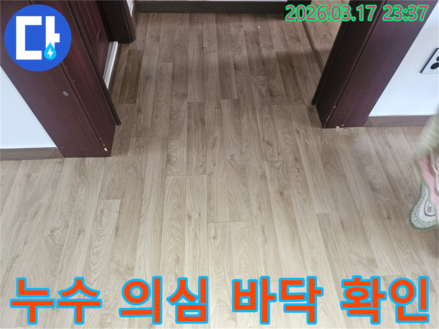 누수 탐지 작업을 시작하기 전-바닥 마루의 일반적인 상태를-기록하기 위해 촬영된 사진입니다.