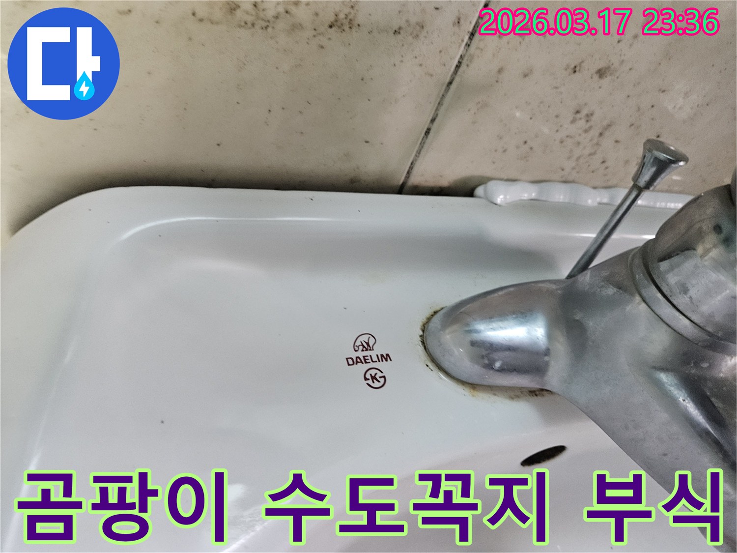 대림 세면대 뒤편 벽에- 심각하게 번식한 곰팡이와- 수도꼭지 하단의- 녹슨 흔적을 보여주는 사진입니다