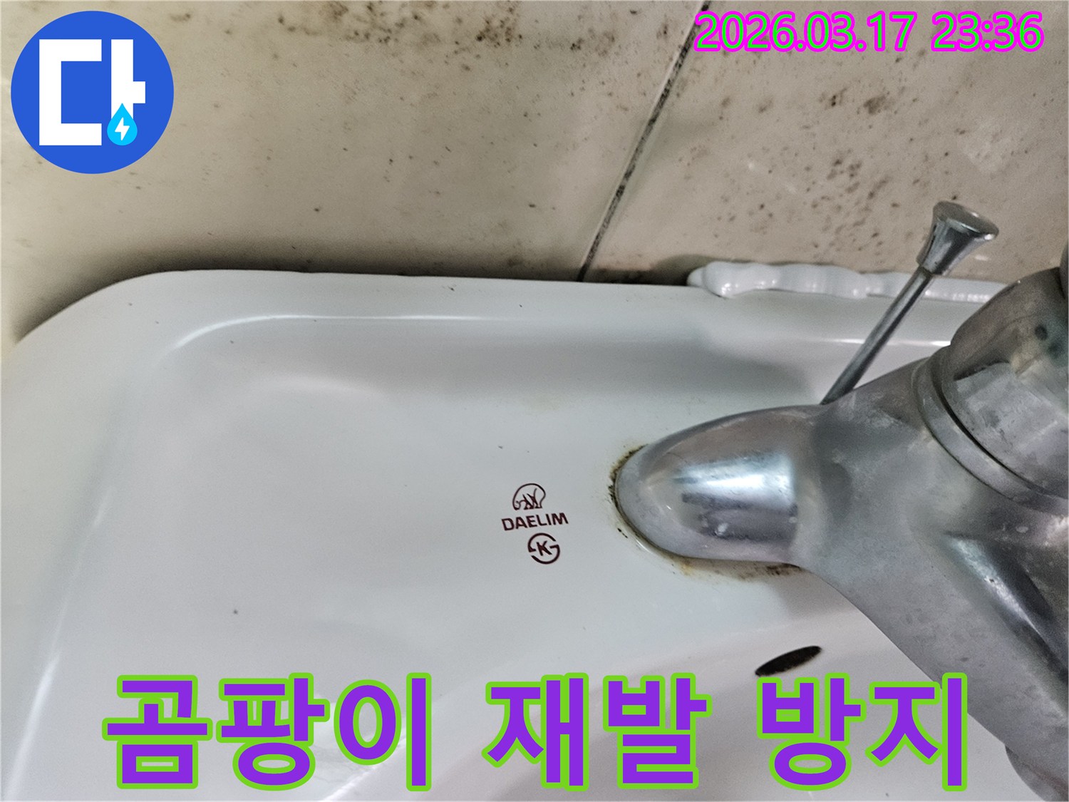 대림 세면대 벽에- 짙게 번진 곰팡이와- 수도꼭지 주변의- 물샘 흔적을 담은 이미지입니다
