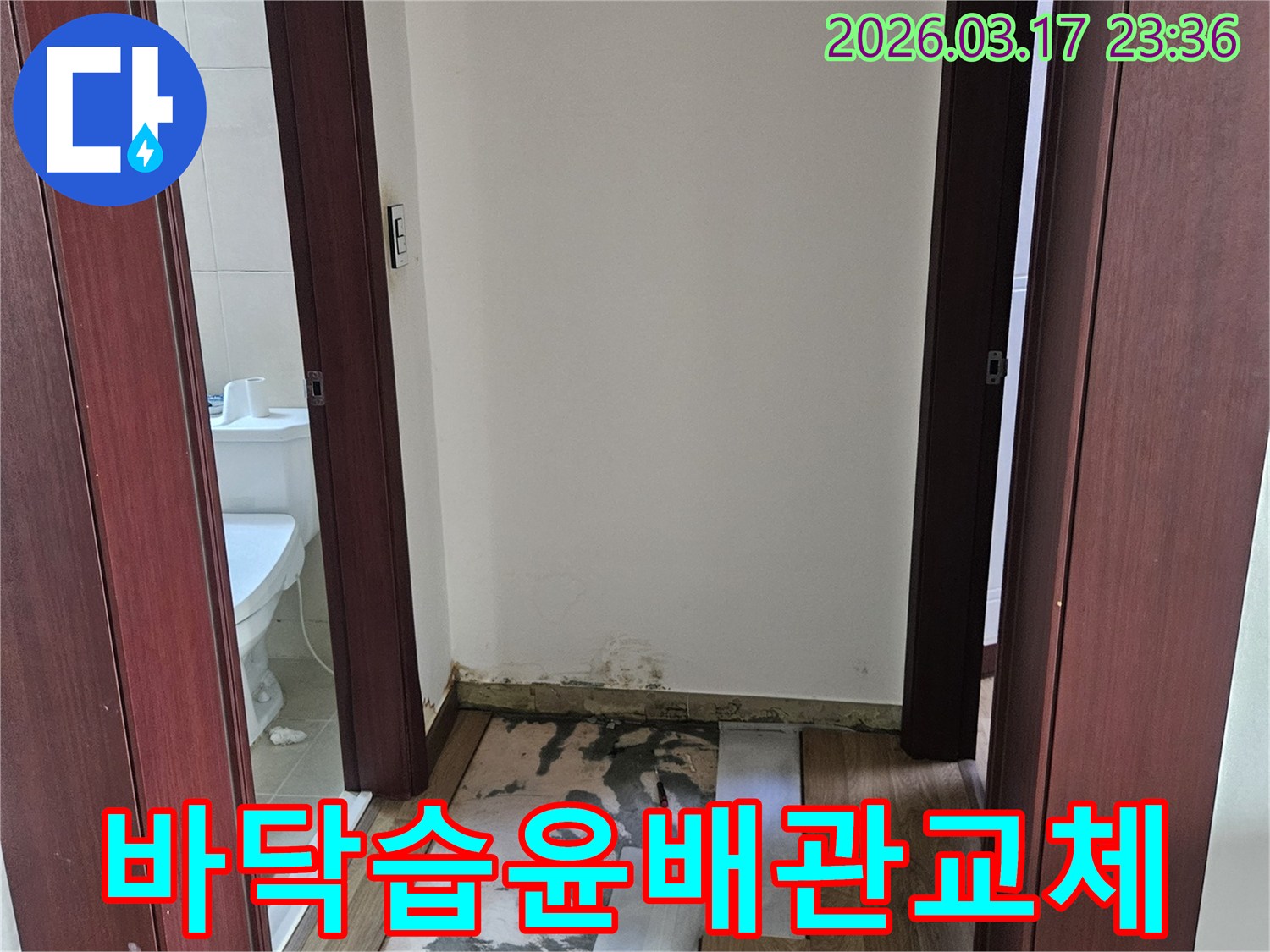 병점 빌라 욕실 누수 현장에서-바닥 콘크리트 습윤의 원인을 찾기 위해-배관을 정밀 진단하고 교체하는-공사 진행 모습입니다.