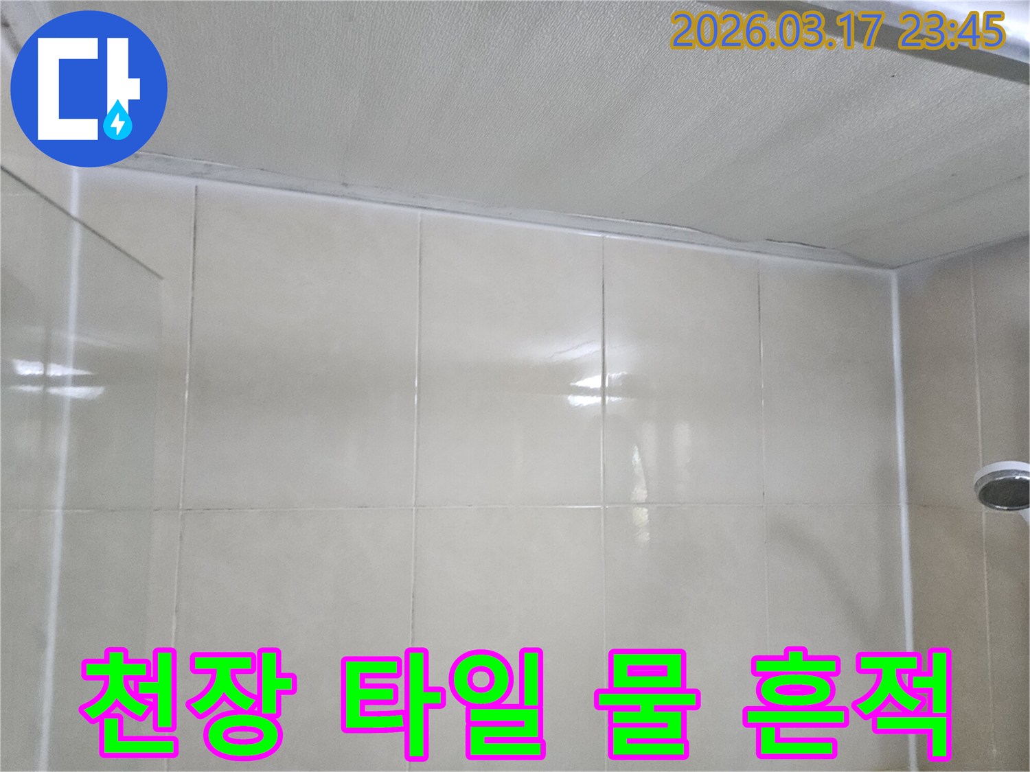 상가-누수-현장에서-천장과-타일-벽면의-경계에-나타난-물-흔적을-정밀하게-검사하는-모습입니다