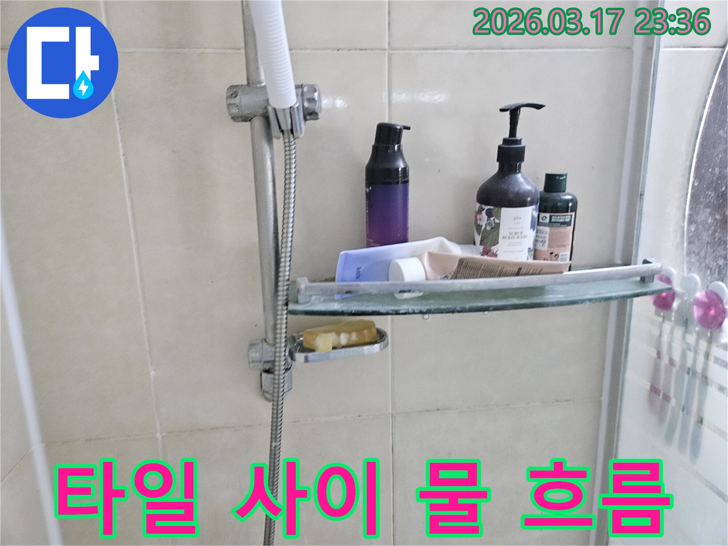 샤워 부스 내-유리 선반 밑으로-물방울이 맺혀-떨어지기 직전의-누수 현장을 담은 이미지입니다