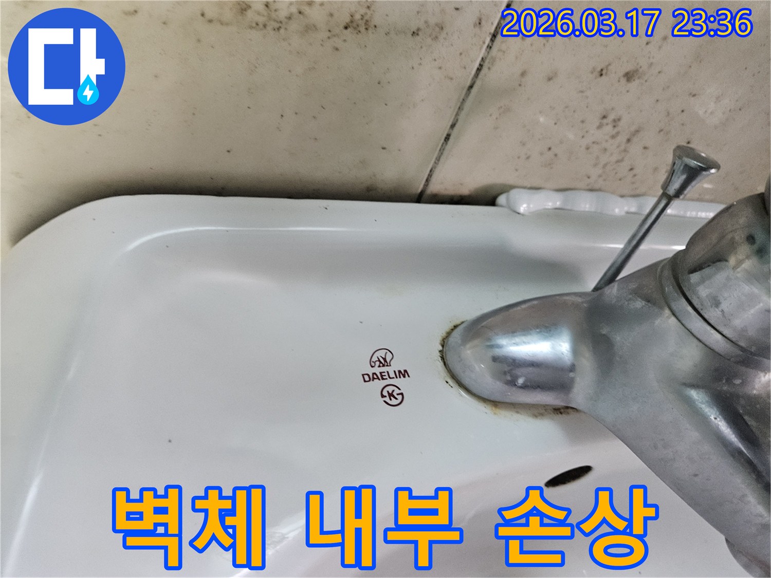 세면대 뒤편 벽에- 심각하게 번식한 곰팡이가- 벽체 내부 구조물의- 손상 가능성을 시사합니다