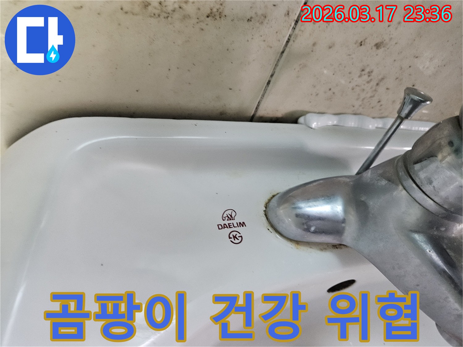 세면대 뒤편 벽에- 심각하게 번식한 곰팡이가- 호흡기 건강을 위협하며- 즉각적인 제거가 필요함을 보여줍니다