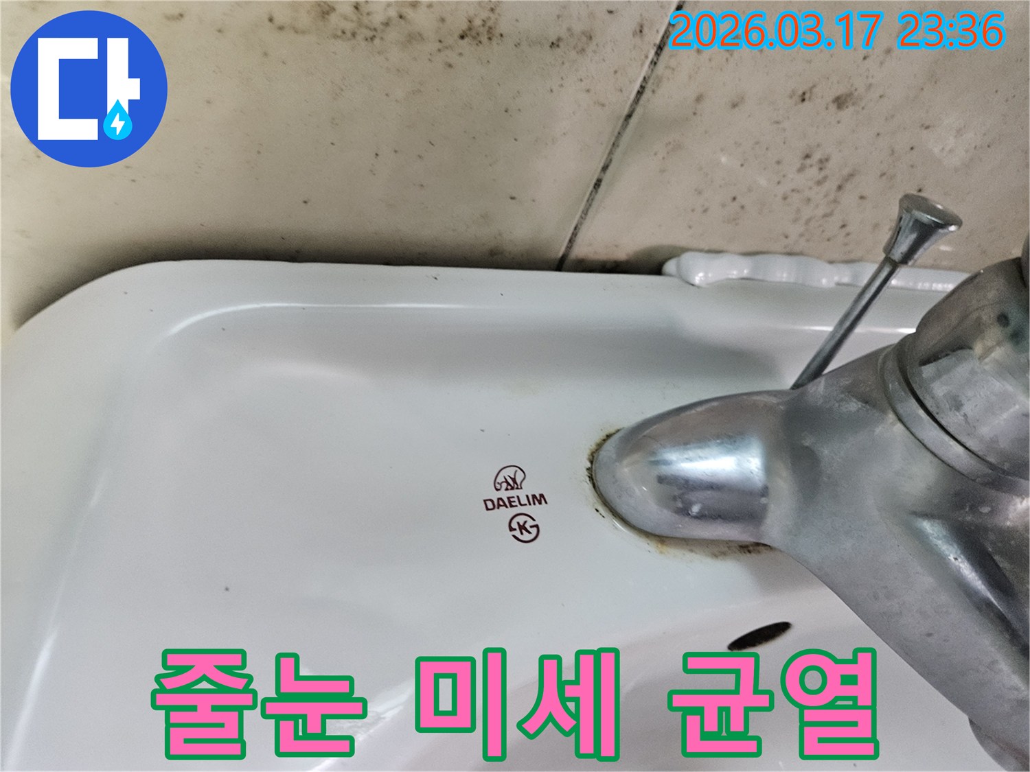 세면대 뒤편 벽타일에- 번식한 곰팡이가- 타일 줄눈의 미세 균열을 통해- 누수가 진행되었음을 시사합니다