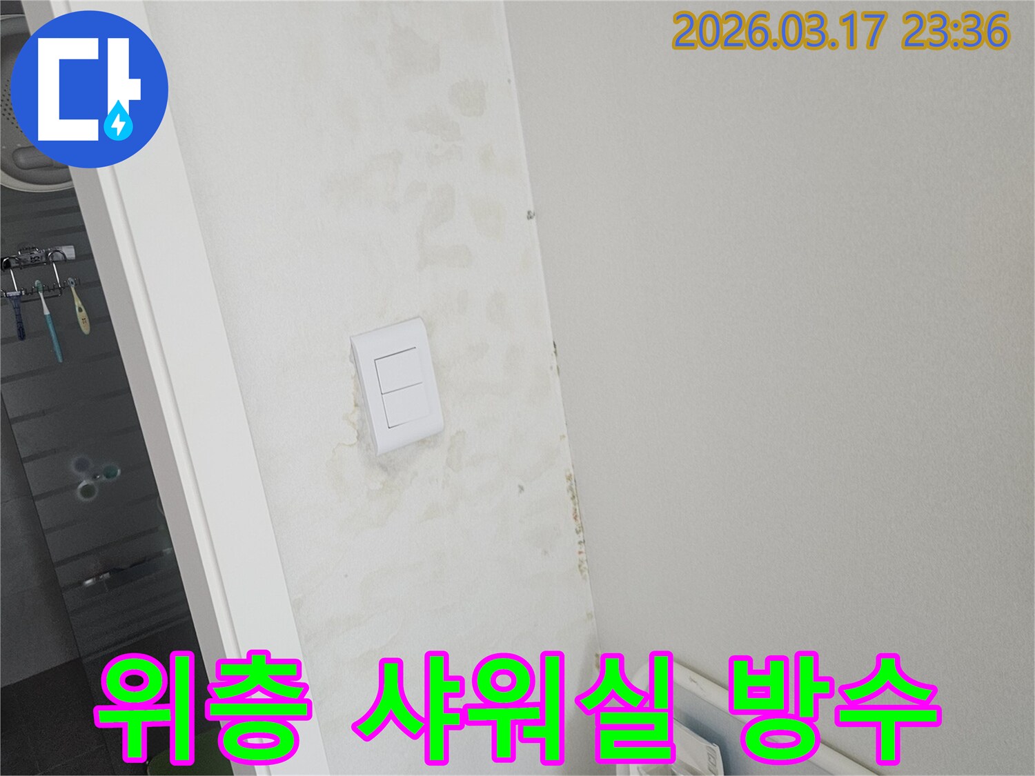 스위치-주변-벽면의-젖음이-위층-샤워실-방수층-또는-배수구-누수로-인한-것인지-확인하고-곰팡이를-제거하는-모습입니다.