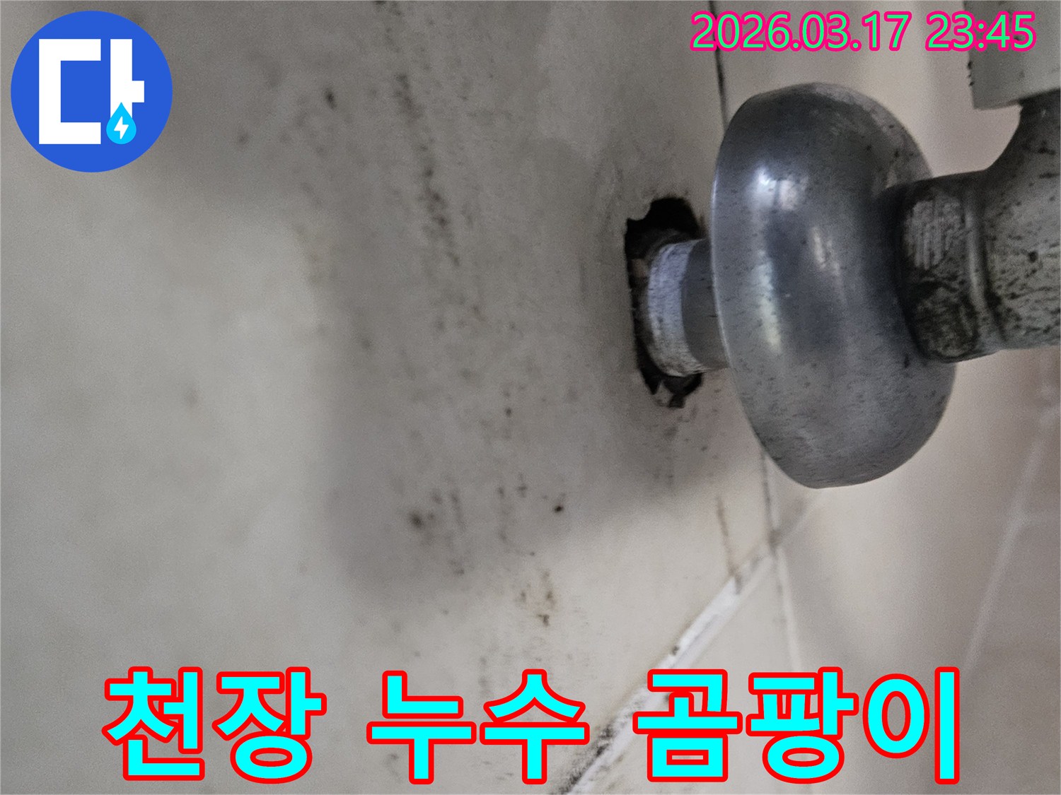 오랜 시간 지속된 누수로 인해-천장 마감재가 손상되고 곰팡이가 번식했습니다