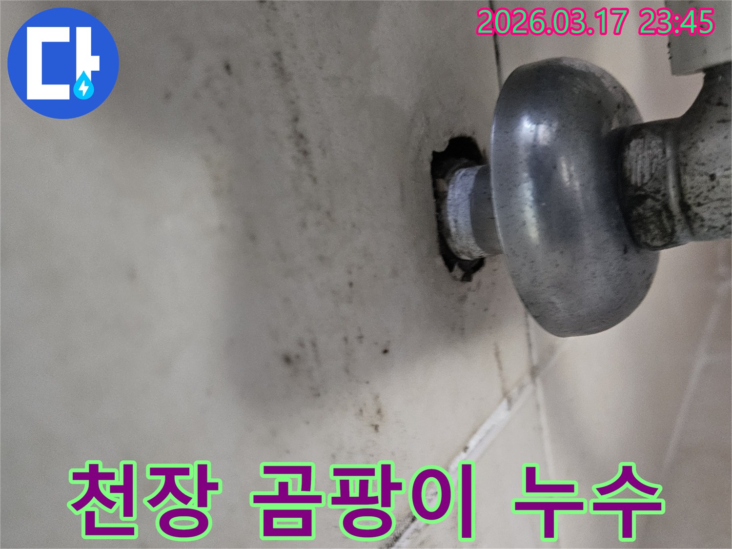 이 사진은 천장 배관 주변의 누수로 인해-곰팡이와 물때가 심하게 생긴 모습을 보여줍니다