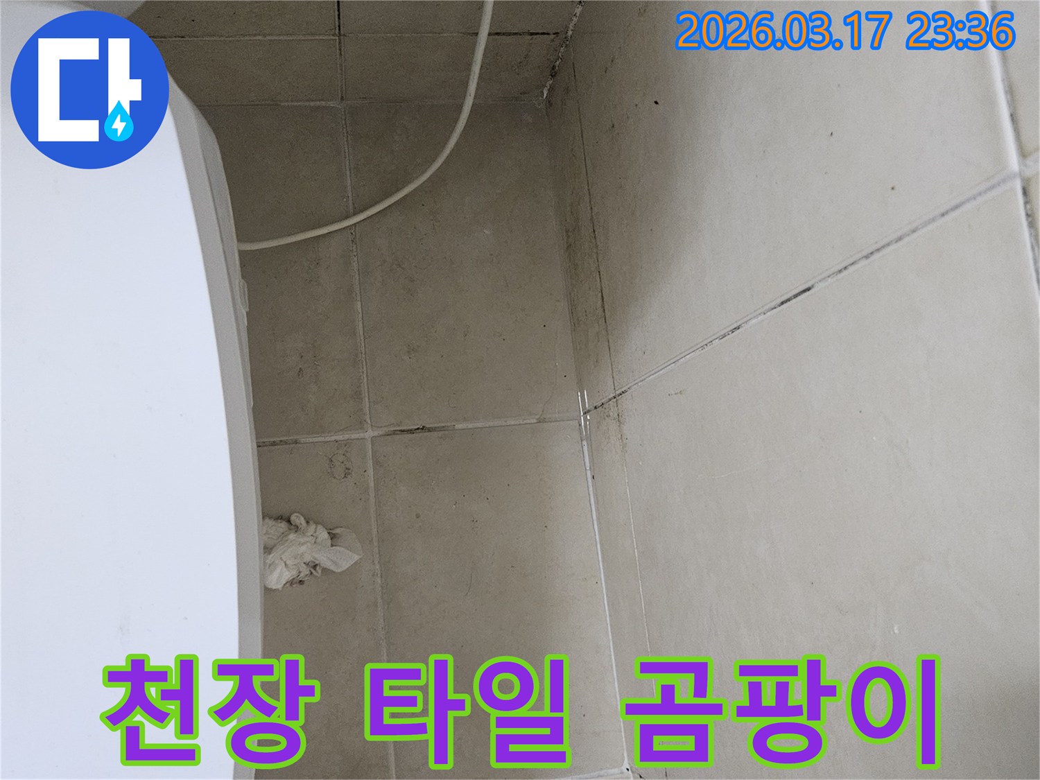 이-사진은-천장-타일의-틈새와-모서리에-발생한-심각한-검은-곰팡이를-보여주며-이는-누수로-인한-지속적인-습기-침투를-의미합니다