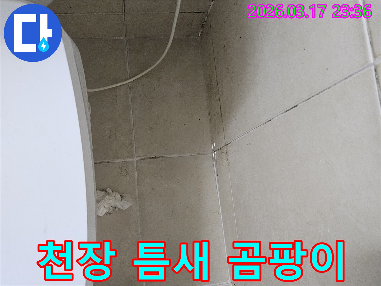 이-사진은-천장-타일의-틈새와-모서리에-발생한-심각한-검은-곰팡이를-보여주며-이는-누수로-인한-지속적인-습기-침투를-의미합니다