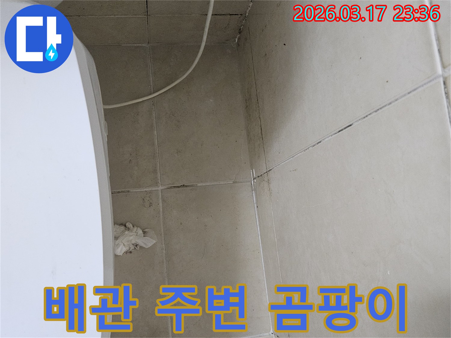 이-이미지는-벽면을-따라-지나가는-배관-주변에-집중적으로-발생한-검은-곰팡이를-보여주며-이는-배관-누수-가능성을-시사합니다